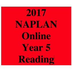 2017 Y5 Reading - Online